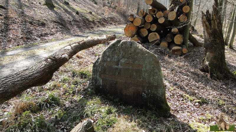 Ritterstein Nr. 292-3 Burg und Dorf Rothenberg 11.-14. Jhdrt..JPG - Ritterstein Nr.292 Burg und Dorf Rothenberg 11.-14. Jhdrt.